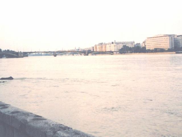 &aacute;rv&iacute;z